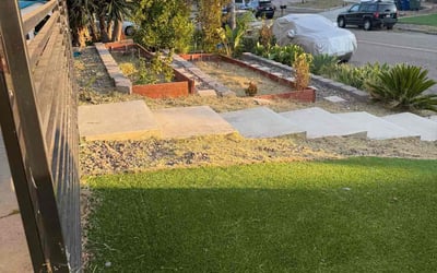 Photo of Sean C.'s yard after getting tree care in Campbell, CA