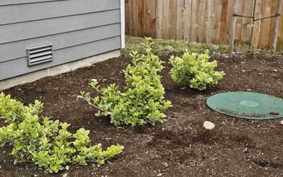 Photo of Louis R.'s yard after getting landscaping in Yelm, WA