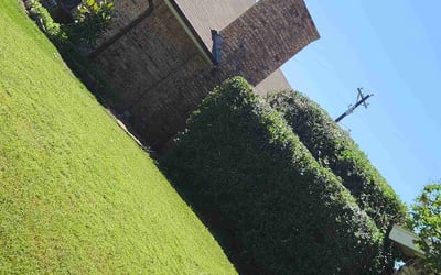 Photo of Joseph R.'s yard after getting landscaping in Carrollton, TX