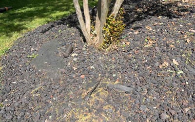 Photo of Mike M.'s yard after getting landscaping in Quantico, VA