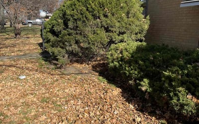 Photo of Steven R.'s yard after getting landscaping in Amsterdam, MO