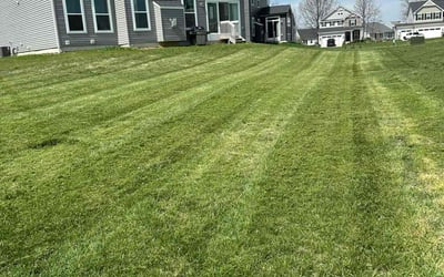 Photo of Lisa O.'s yard after getting landscaping in Delaware, OH