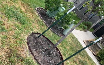 Photo of Michael P.'s yard after getting landscaping in Romayor, TX