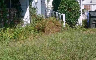 Photo of Ashley R.'s yard after getting landscaping in Woods Cross Roads, VA