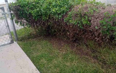 Photo of John R.'s yard after getting landscaping in Columbia, MO