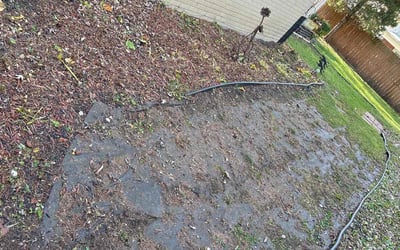 Photo of Judith C.'s yard after getting landscaping in Cicero, IL