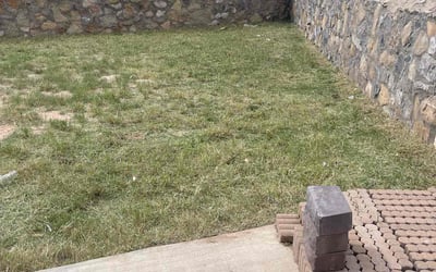 Photo of Patricia C.'s yard after getting landscaping in Clint, TX