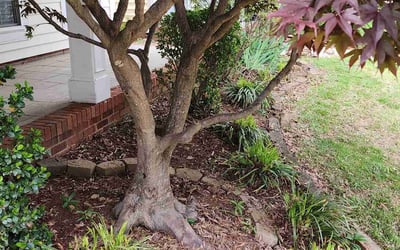 Photo of Jeffrey L.'s yard after getting landscaping in Richburg, SC