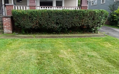 Photo of John J.'s yard after getting landscaping in Chesterland, OH
