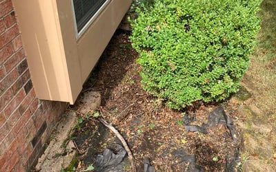Photo of Kristi L.'s yard after getting landscaping in Morgantown, IN