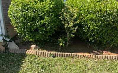 Photo of Donald F.'s yard after getting tree care in Riverdale, GA