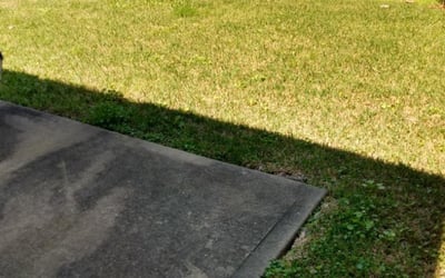 Photo of Michael C.'s yard after getting landscaping in Danciger, TX
