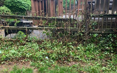 Photo of Richard B.'s yard after getting landscaping in Newtown, PA