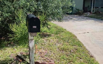 Photo of Shirley S.'s yard after getting tree care in North Port, FL