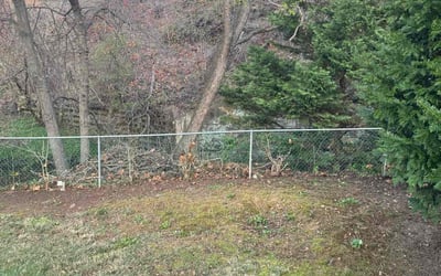 Photo of Melissa M.'s yard after getting landscaping in Ridley Park, PA
