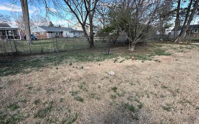 Photo of Michelle G.'s yard after getting landscaping in Springfield, VA