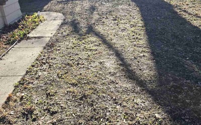 Photo of Julie D.'s yard after getting landscaping in Hartford, WI