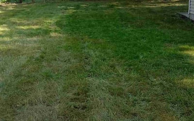 Photo of Mary K.'s yard after getting landscaping in Braham, MN