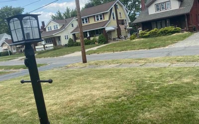Photo of Denise W.'s yard after getting landscaping in Canfield, OH