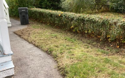 Photo of Jackie T.'s yard after getting landscaping in Boxford, MA
