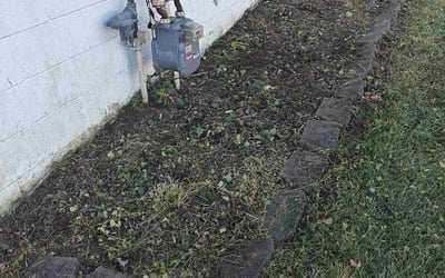 Photo of Jon T.'s yard after getting tree care in Columbus, OH