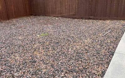 Photo of Stephanie C.'s yard after getting landscaping in Agate, CO