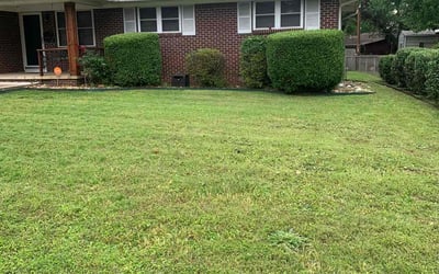 Photo of Mitchell S.'s yard after getting landscaping in North Little Rock, AR
