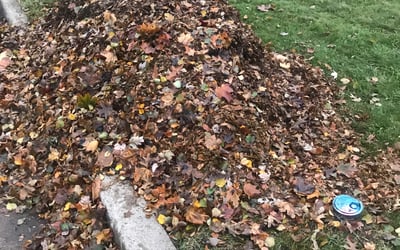 Photo of Alex G.'s yard after getting landscaping in Chesterland, OH