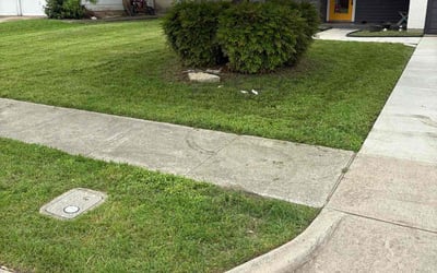 Photo of Leo L.'s yard after getting landscaping in Richardson, TX