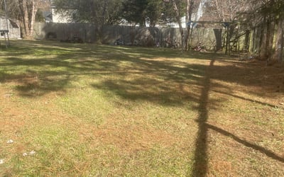 Photo of Andrew M.'s yard after getting landscaping in Barium Springs, NC