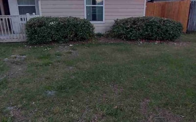 Photo of Julie M.'s yard after getting landscaping in Kenansville, FL