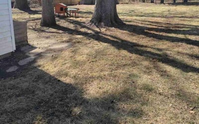 Photo of Anthony M.'s yard after getting landscaping in Afton, MN