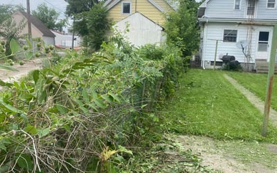 Photo of Paul S.'s yard after getting landscaping in Findlay, OH