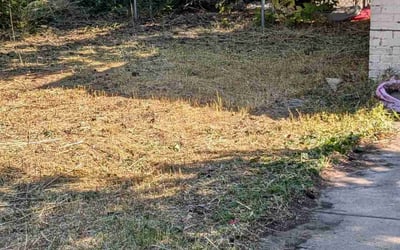 Photo of John H.'s yard after getting landscaping in Simla, CO