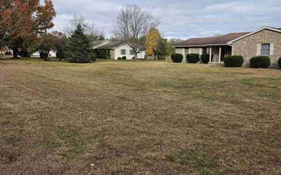 Photo of Herman J.'s yard after getting tree care in Swanton, OH