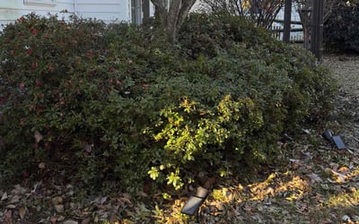 Photo of Donna J.'s yard after getting landscaping in Faith, NC
