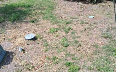 Photo of Allison S.'s yard after getting landscaping in Leander, TX