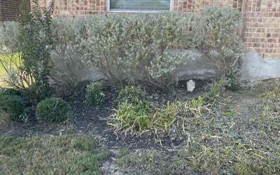 Photo of James B.'s yard after getting landscaping in Peggy, TX