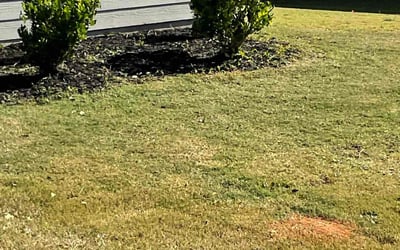 Photo of Jasmine S.'s yard after getting landscaping in Clarkdale, GA