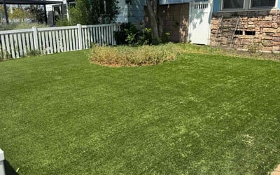 Photo of Matthew H.'s yard after getting landscaping in Burbank, CA