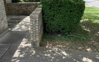 Photo of Elizabeth H.'s yard after getting landscaping in Bedford, TX
