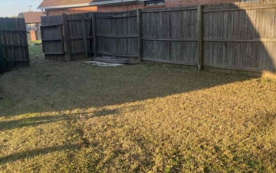 Photo of Jacqueline M.'s yard after getting landscaping in Byhalia, MS