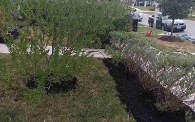 Photo of Kelly S.'s yard after getting landscaping in Smithville, TX