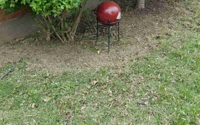 Photo of Cecelia B.'s yard after getting landscaping in Charlestown, IN