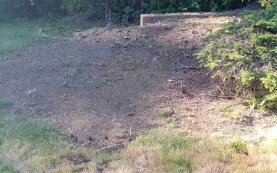 Photo of Damon F.'s yard after getting landscaping in Canby, OR
