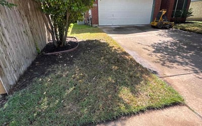 Photo of Jeffrey S.'s yard after getting landscaping in Austin, TX