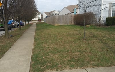 Photo of Dan V.'s yard after getting landscaping in Granville, OH