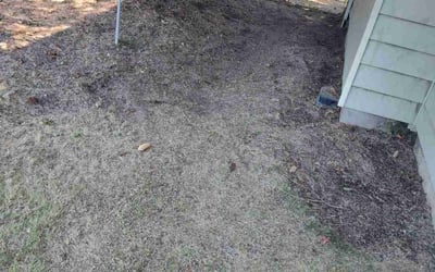 Photo of Susan C.'s yard after getting landscaping in Spokane, WA