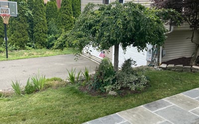Photo of Susan H.'s yard after getting landscaping in Bethel, CT