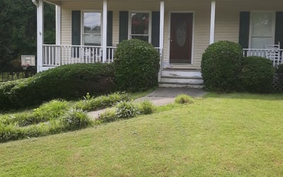 Photo of Suzanne C.'s yard after getting landscaping in Tallapoosa, GA